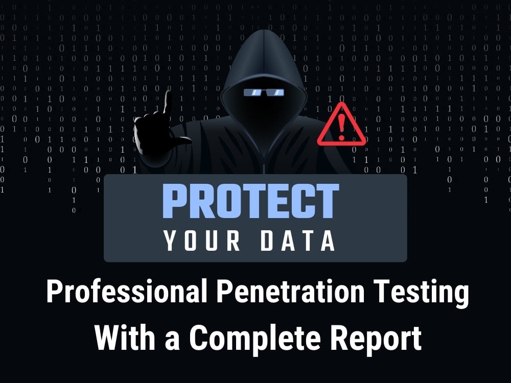 professional penetration testing pricing