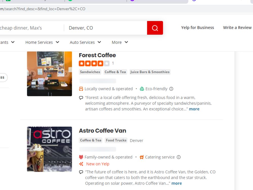 Expert Google Ads Services Denver Boost ROI with AI, 2024