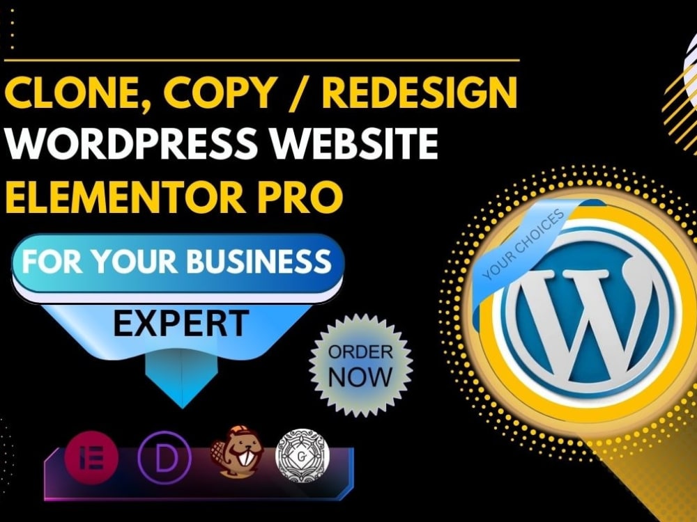 I'M Paying for WordPress Business Now What 