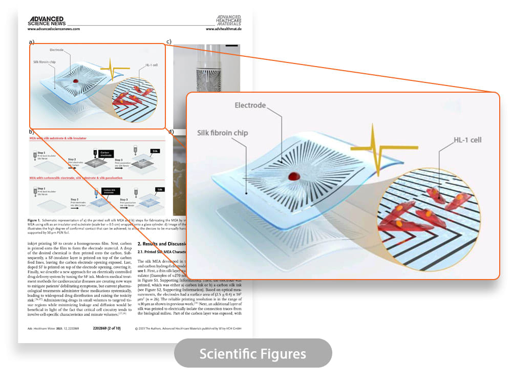 scientific-illustration-scientific-figure-graphical-abstract-and-toc