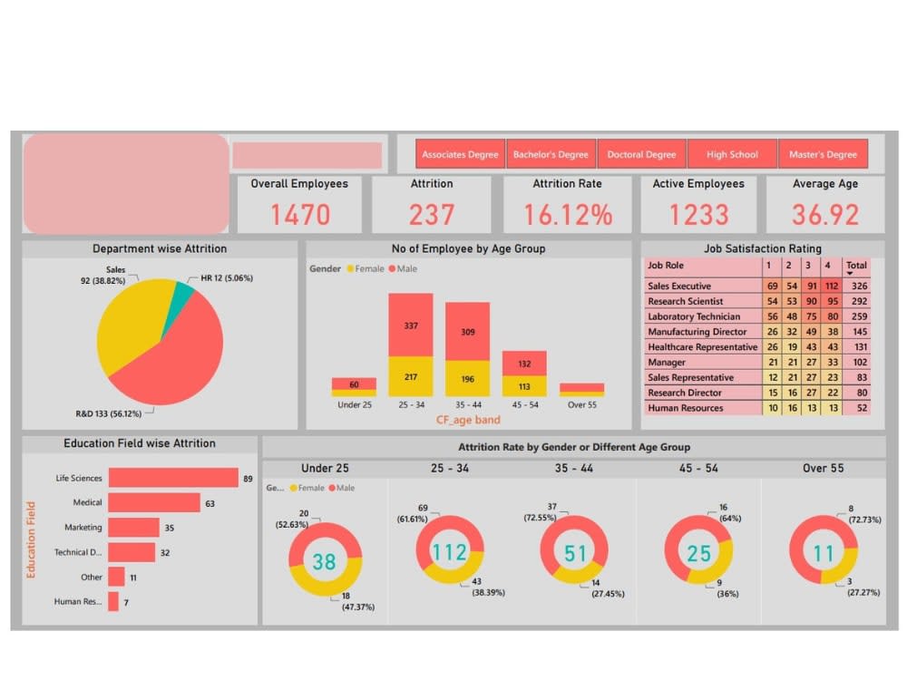 Interactive and dynamic power bi dashboard and report | Upwork