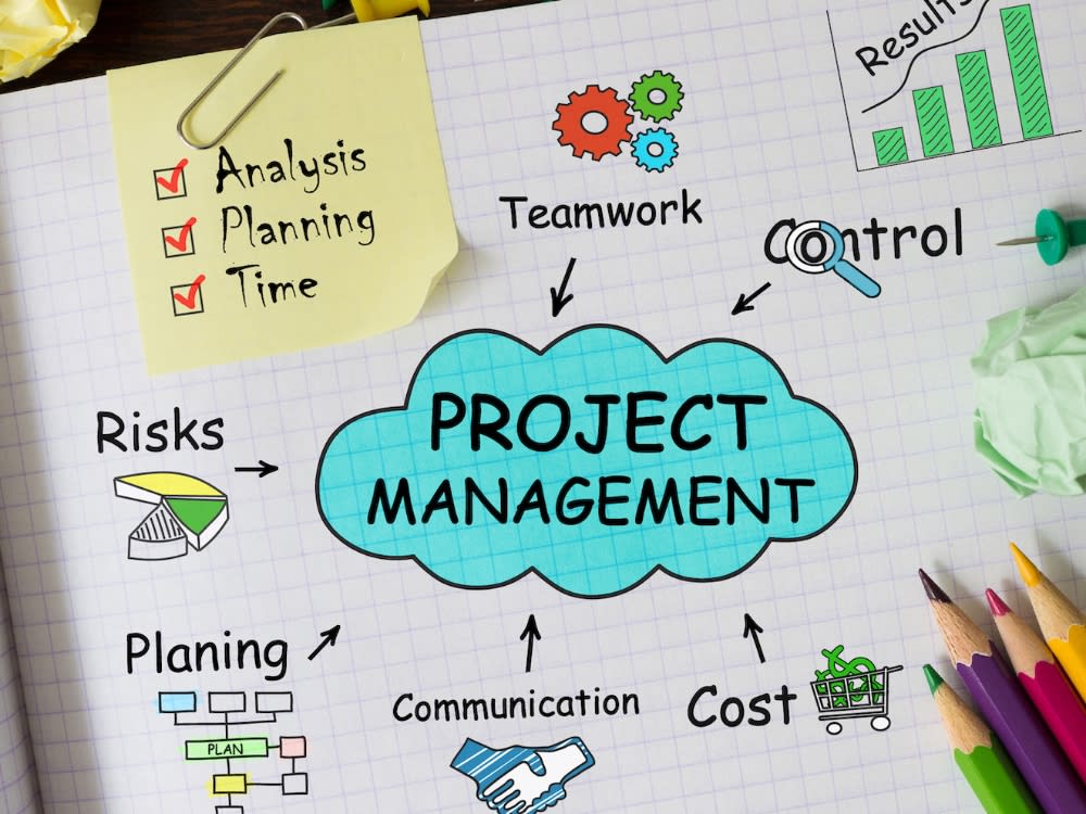 Comprehensive Project Plan and Tracker for Your Project | Upwork
