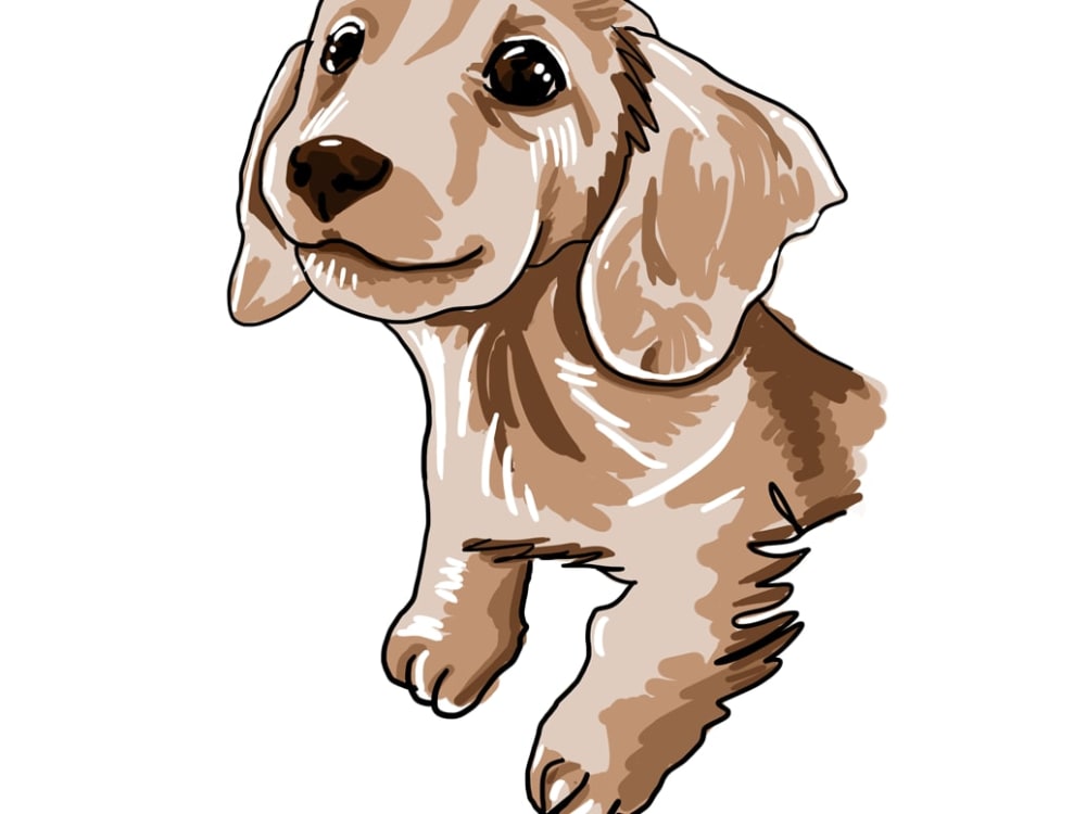 A cartoon illustration of your pet