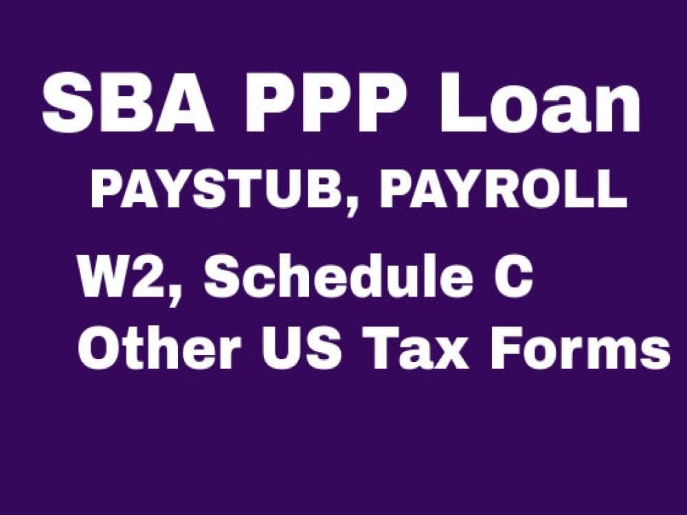 Pay Stubs, Check Stubs, Payroll, ERC, PPP Loan, W2, Schedule C Upwork