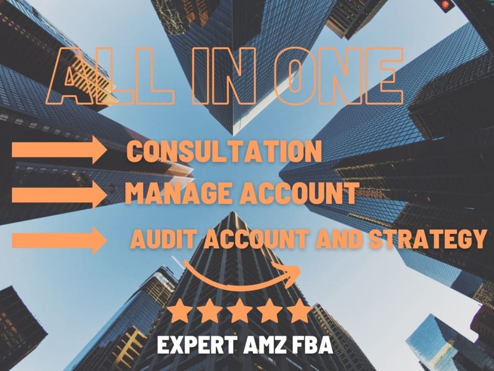 Amazon account manager and Audit Upwork