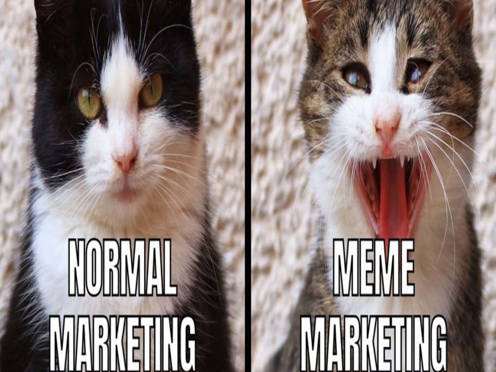 How to Make MEMES for Instagram (INSTAGRAM CONTENT STRATEGY) 