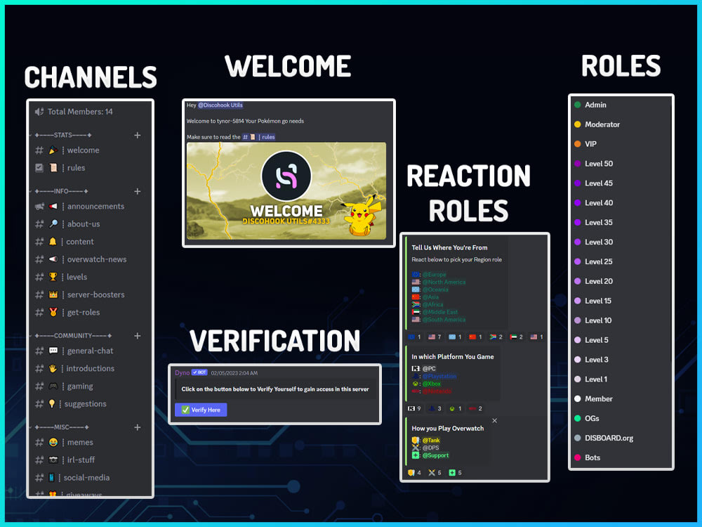 DVerify - Let people see your Discord! - Creations Feedback - Developer  Forum