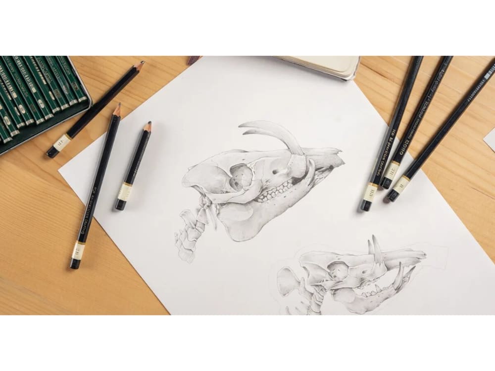 Pencil sketch or ballpoint pen sketch with timelapse video  Upwork