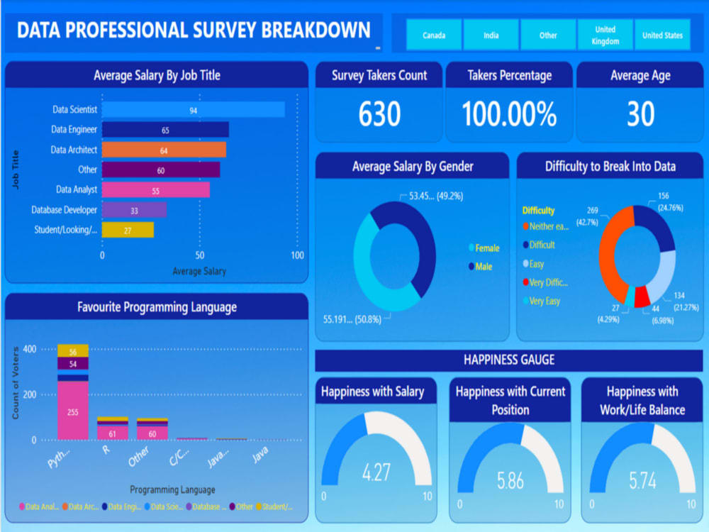 A professional data visualization dashboard using Microsoft Power BI ...