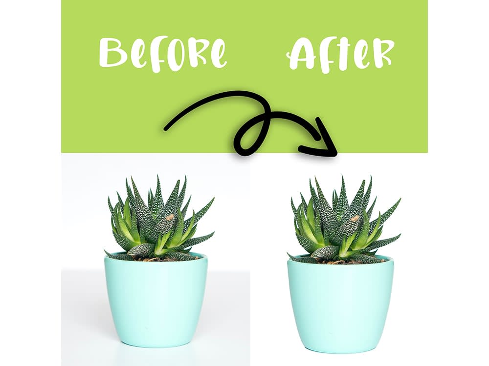 White background for your images Product Photo Background Remove Upwork