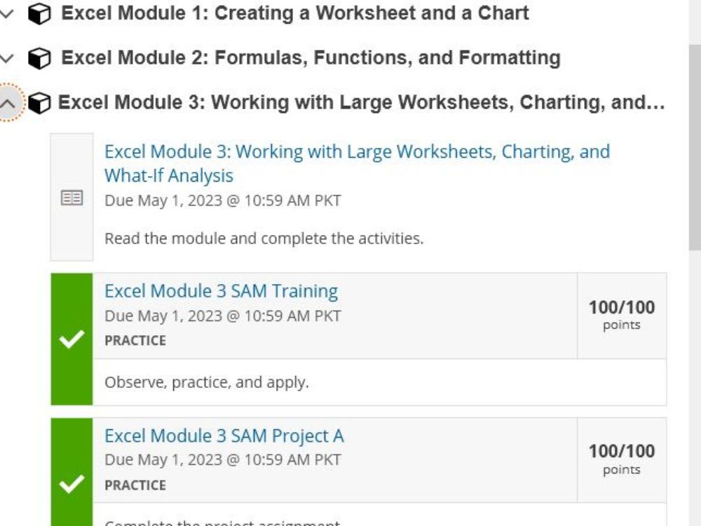 Shelly Cashman, McGraw Hill, SAM Cengage project in MS Word, Excel