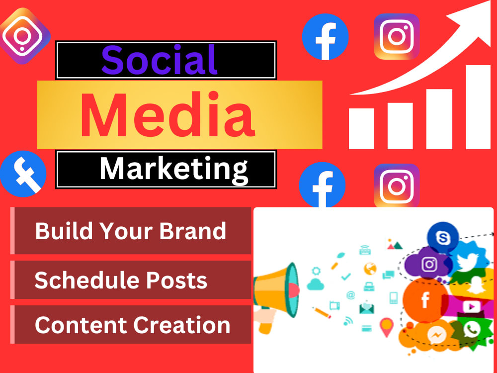 Professional Social Media ManagerFacebook Manager Social Media