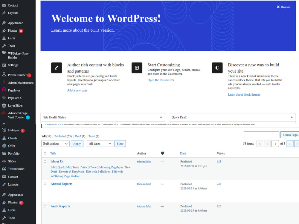 WordPress Website Theme Customization & Woocommerce Website Design | Upwork