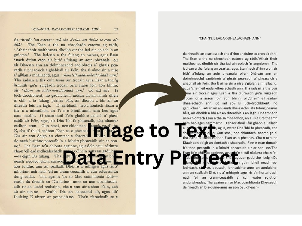 Accurate Image to Text Data Entry Project | Upwork