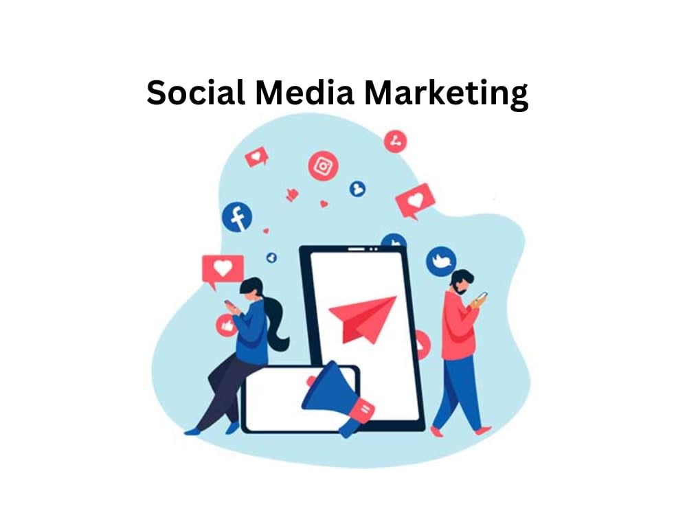 Professional Social Media Marketing Expert Upwork