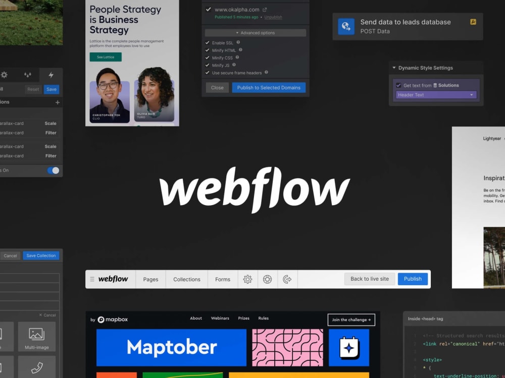 Webflow Expert - Webflow Developer & Designer, Figma to Webflow Design ...