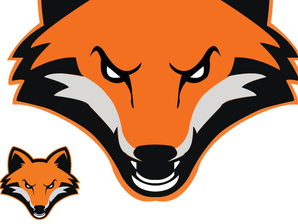 A Perfect Mind Blowing Work Upwork