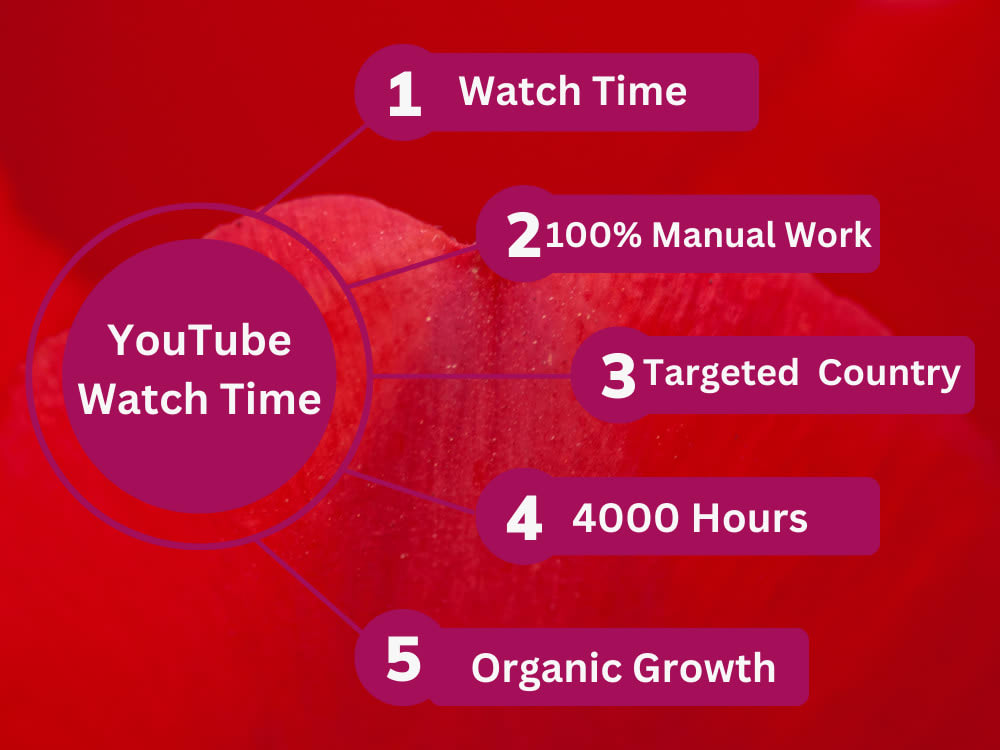 YouTube watch time Organic 4k hours of watch time for channel