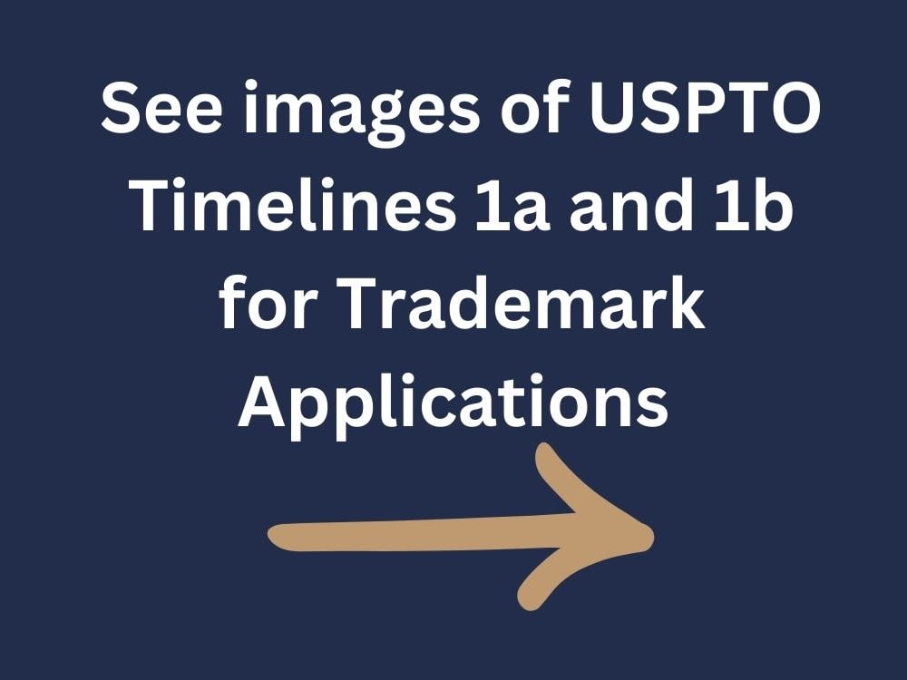 Consultation USPTO Trademark application fees, requirements, and