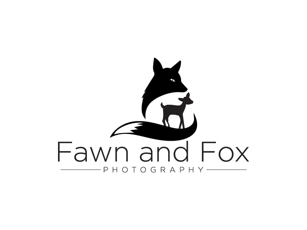 Fawn Projects  Photos, videos, logos, illustrations and branding