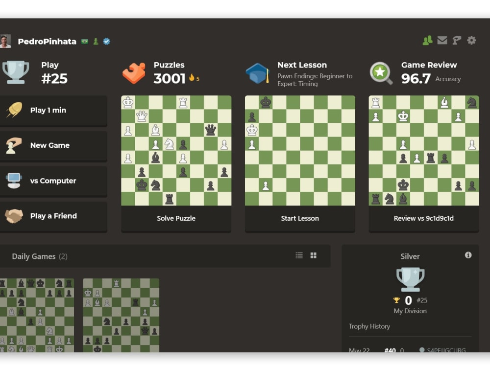 Python Multiplayer Chess Board Full Desktop Game + Source Code