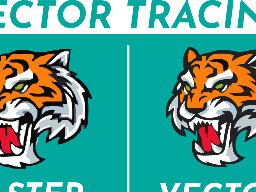 I am vector tracer professional Upwork