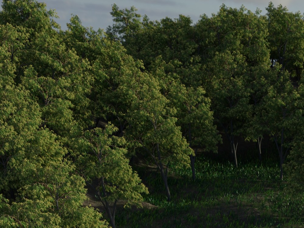 A fantastic Blender Landscape design Upwork