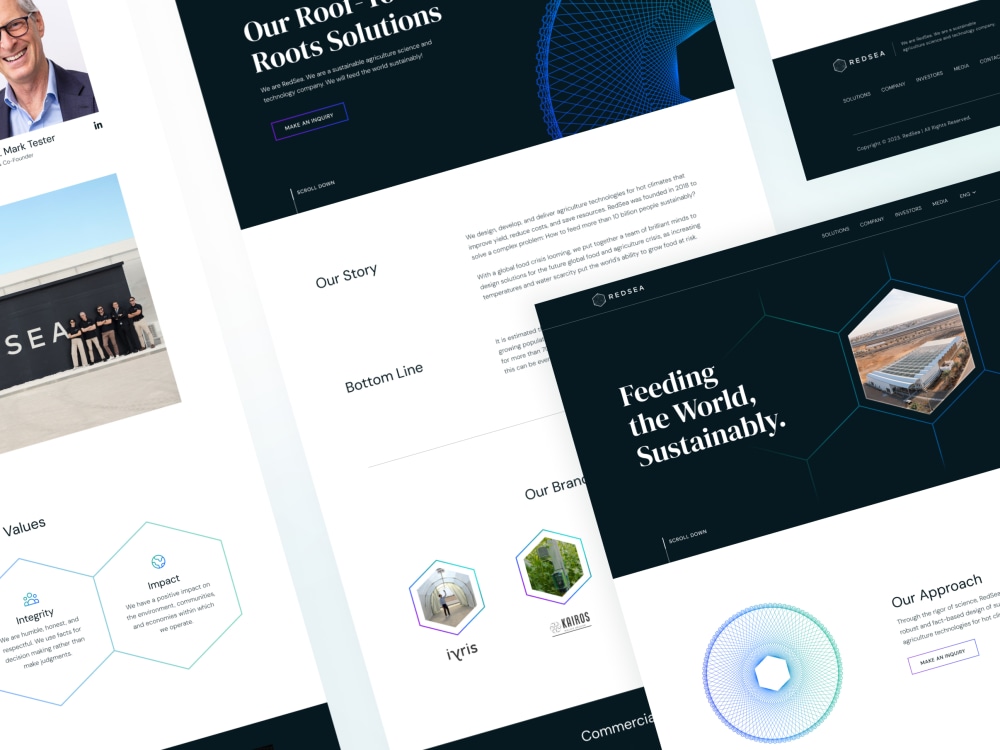 A TopNotch Design for your site or Landing Page Upwork