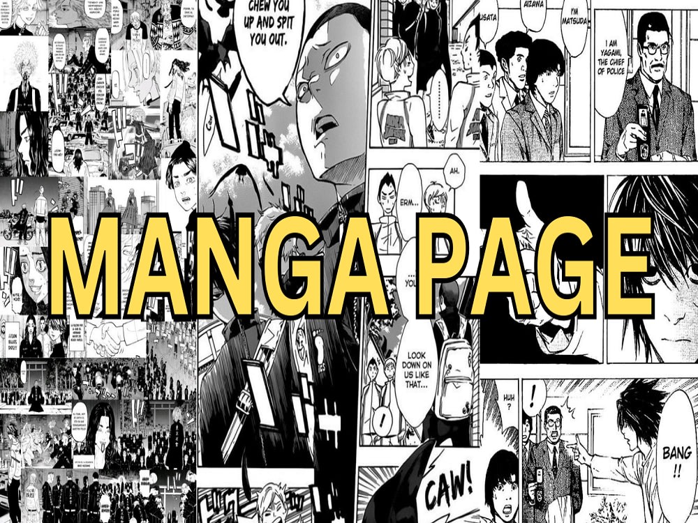 You will get draw your manga and comic book in japanese anime style from  your script