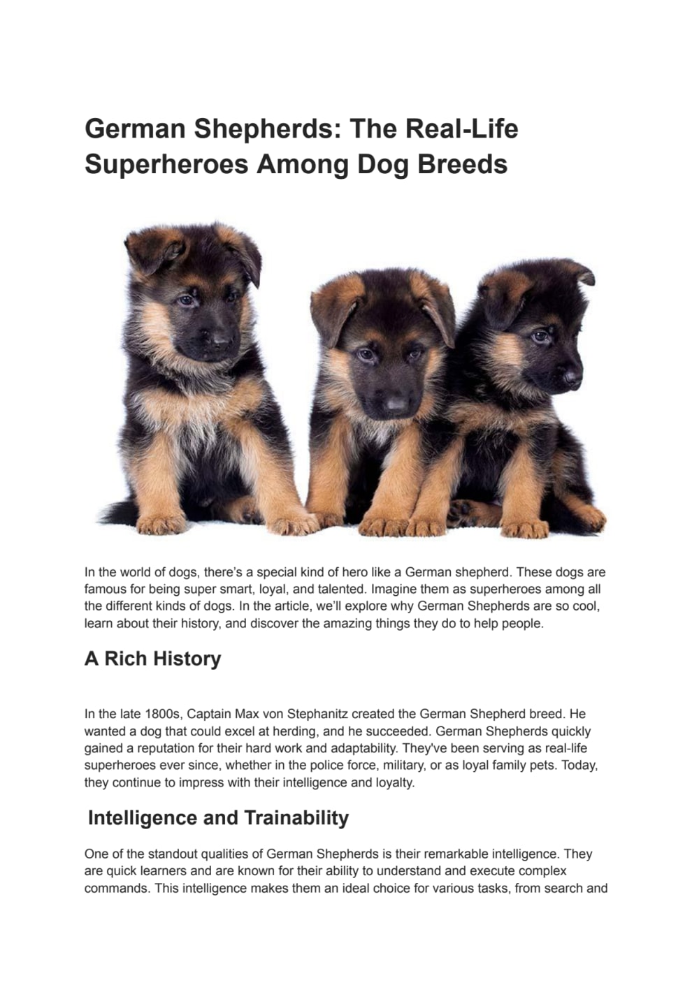 German Shepherd Top Ten Loyal Dogs German Shepherd Dog Breeds