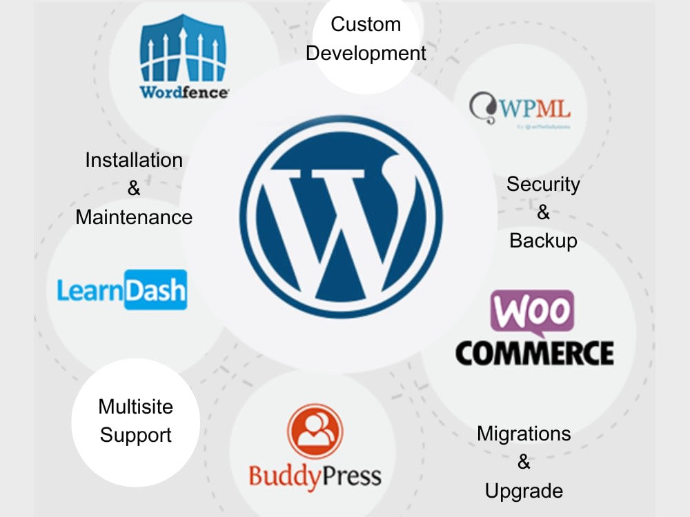 Your WordPress website designed or redesigned | Upwork