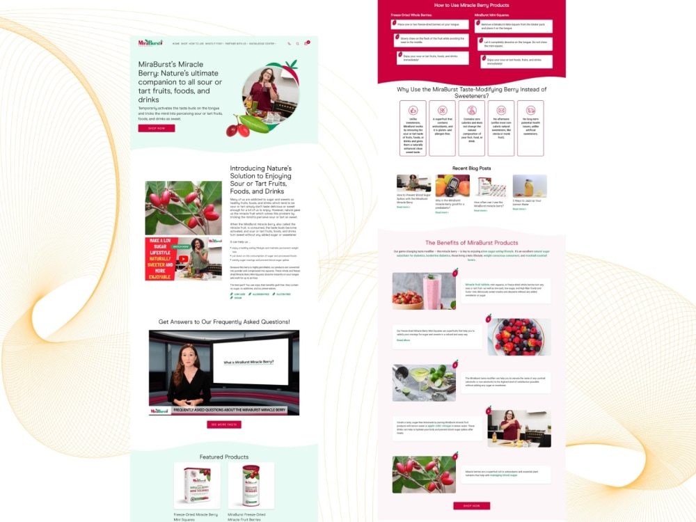 A user-friendly website for your business | Upwork