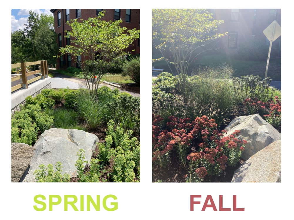 Planting plan + schedule from a registered landscape architect Upwork