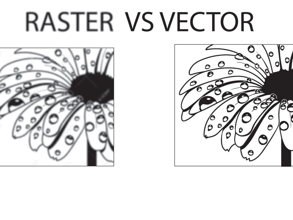 Redraw vector, manual vector tracing, logo illustration tracing tattoo ...