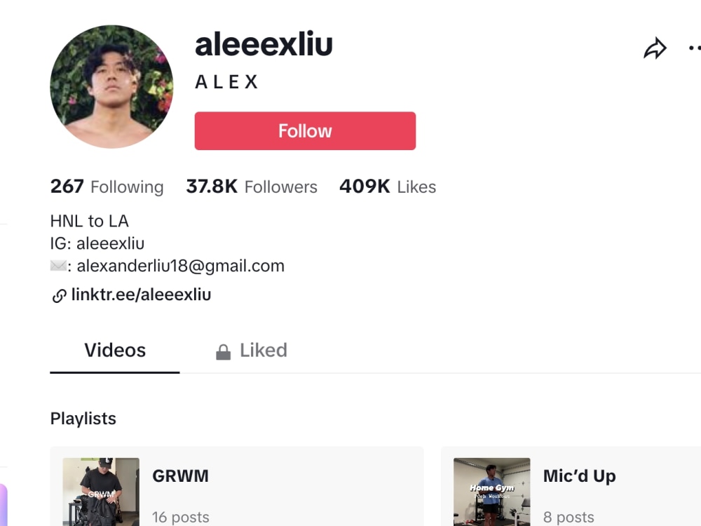 A highquality TikTok, IG, YouTube influencer list for your campaign