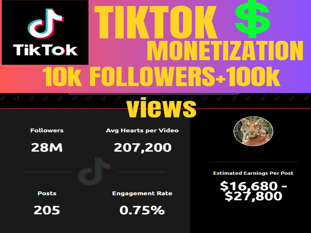 Create USA UK tiktok account and Full Upwork