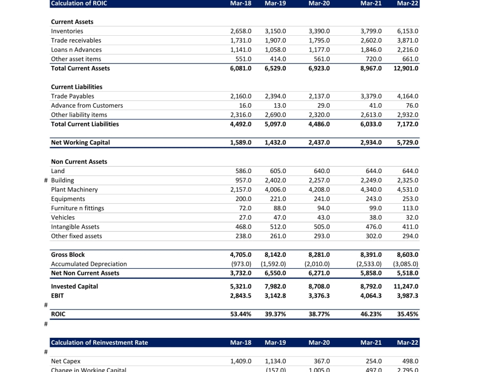 Financial analysis, Financial model, projections, DCF, Ratios, WACC