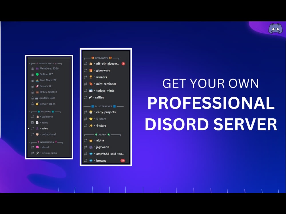 The discord server setup for your NFT project