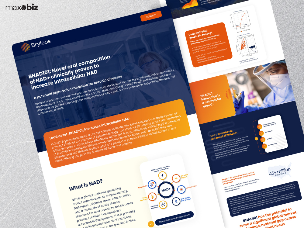 You will get WordPress Developer, WordPress Website, WordPress Designer, Website Design