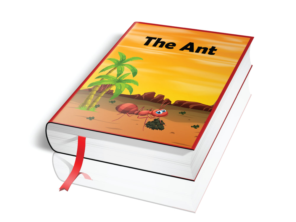 Professional Book cover / paperback book cover Upwork