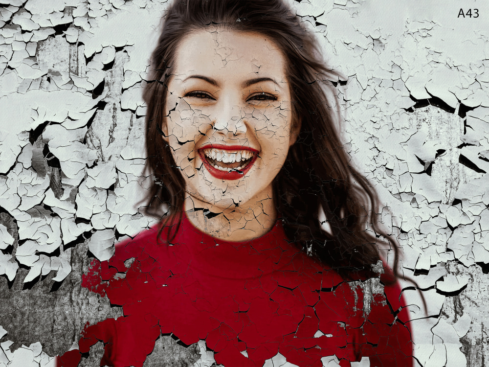 Comic Vectorized Cartoon Art Portrait & other 10 Different Portrait ...