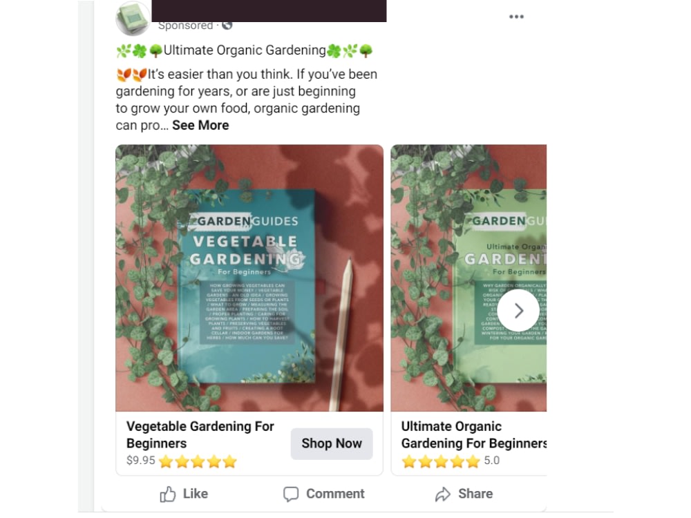 Facebook Ads Campaign to Boost Your Sales and Leads | Upwork