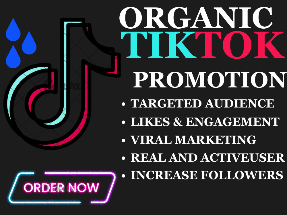 Tiktok ads tiktok manager tiktok promotion targeted audience Upwork