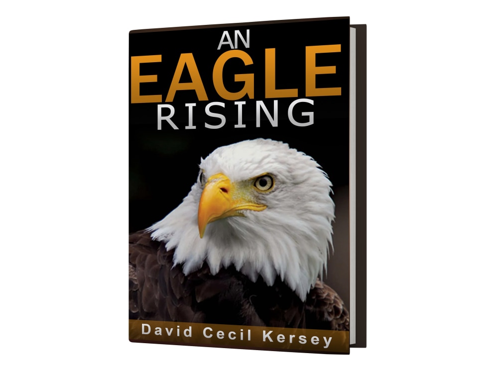 Amazon kdp book cover, kdp book cover, kdp cover in just 24 hours Upwork