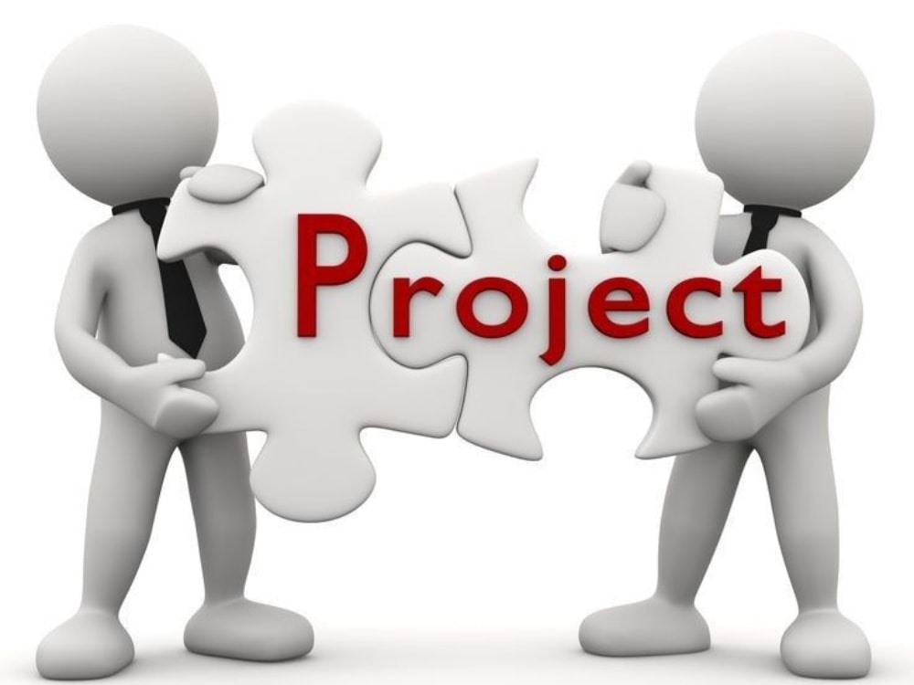 Comprehensive Project Plan and Tracker for Your Project - JA | Upwork