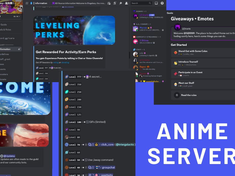 Best custom discord server for huge success. Upwork