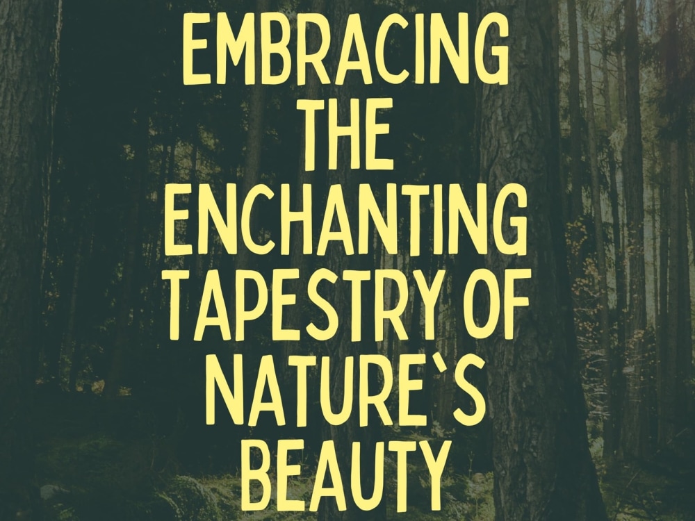 Embracing The Enchanting Tapestry Of Nature's Beauty  Upwork