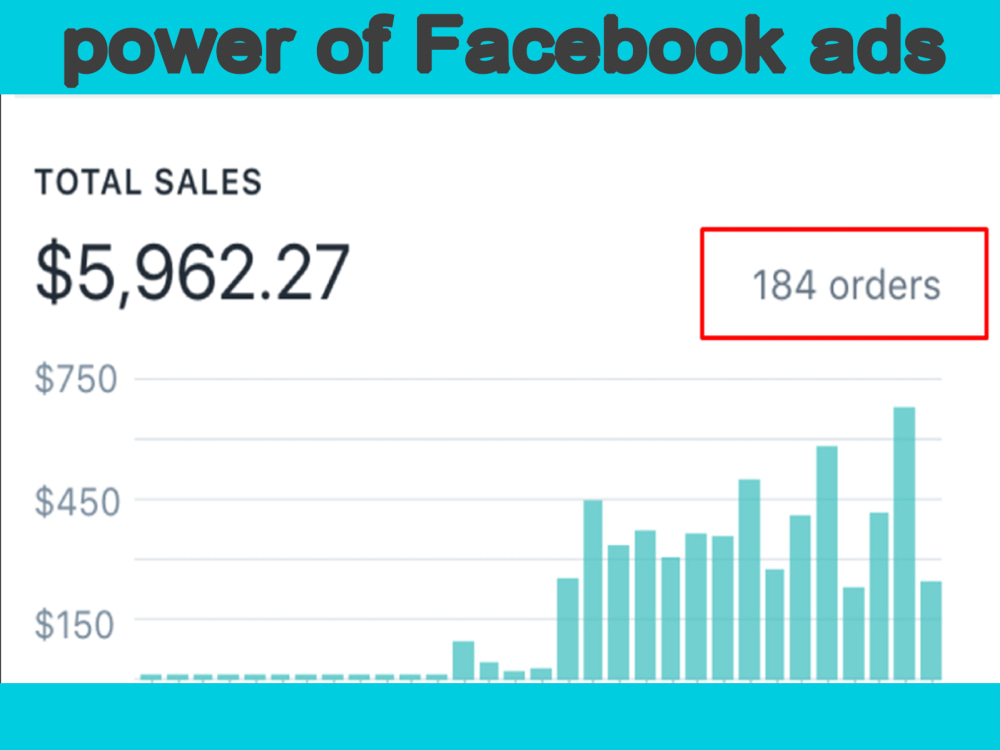 Profitable facebook ads campaign and instagram ads | Upwork