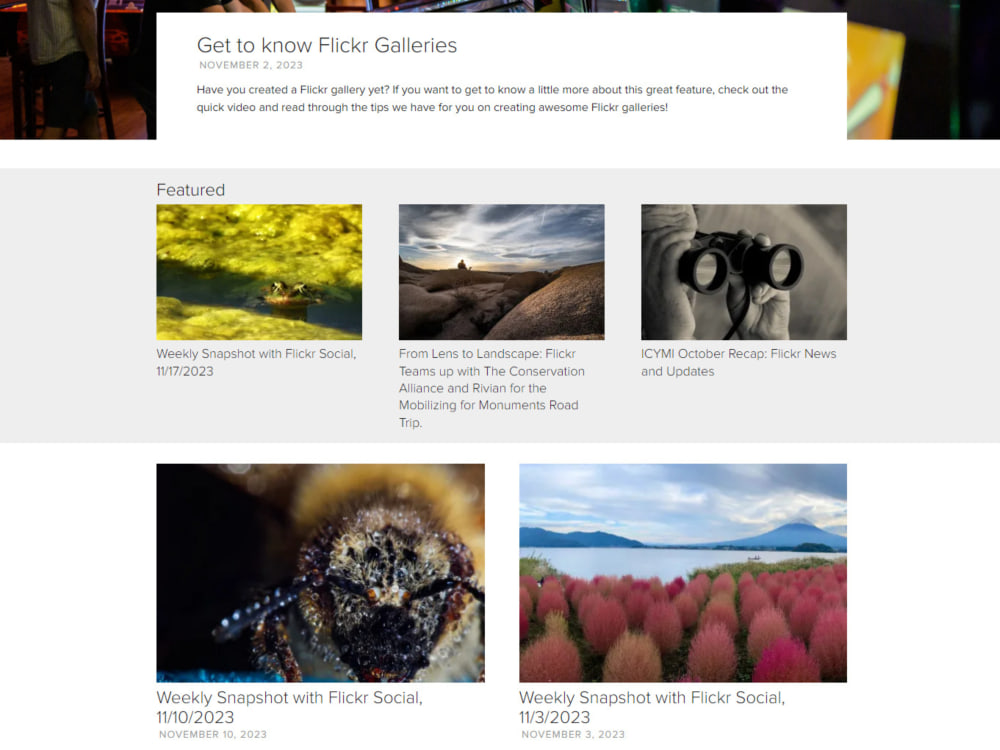 A fully responsive WordPress website using Elementor | Upwork