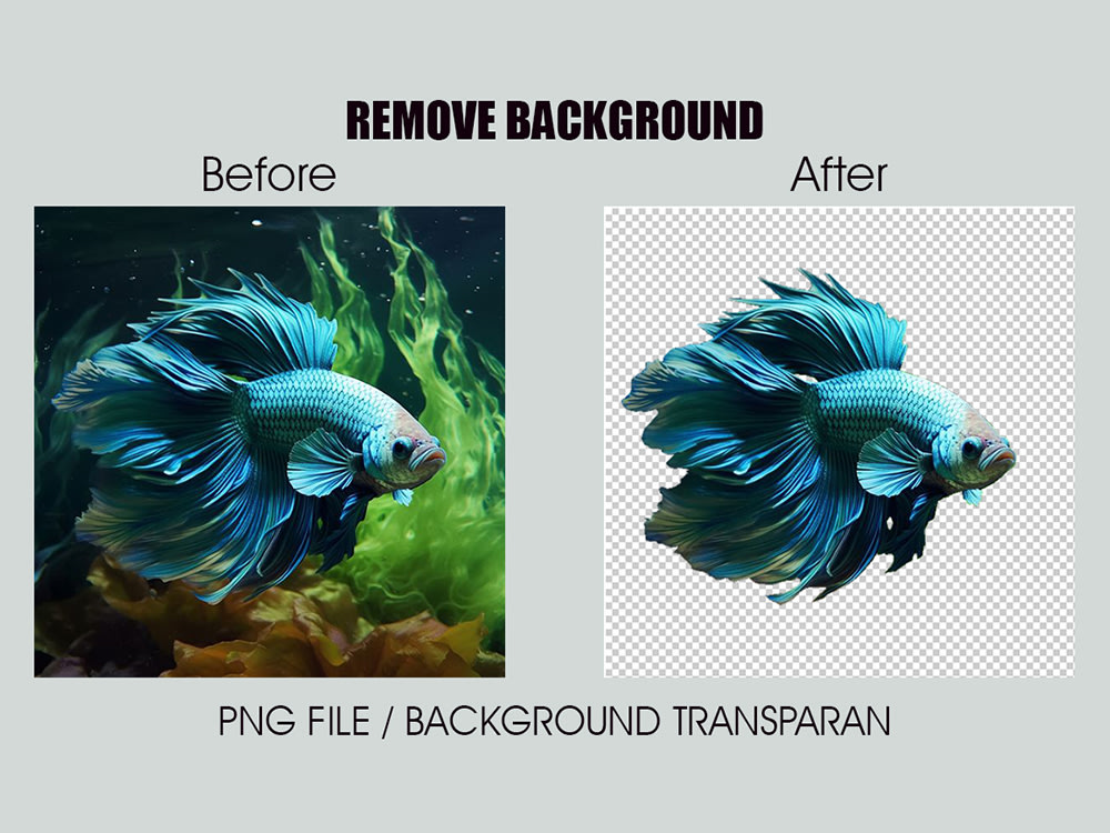 All Types Of Photo Editing Upwork All Types Of Photo Editing Upwork